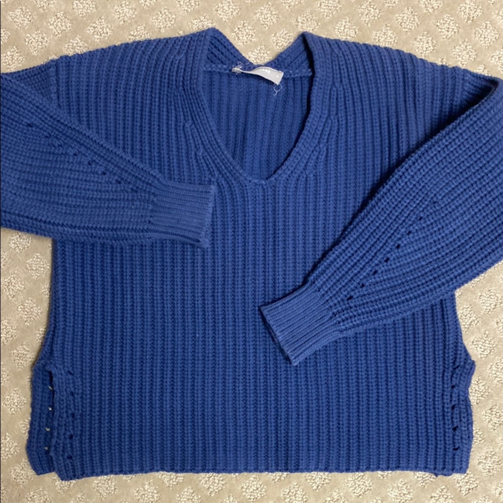 Everlane Blue V-Neck Women's Sweater